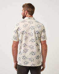 Local Forecast Polo