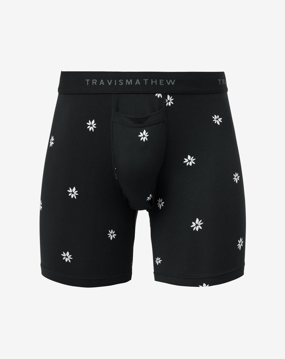 Rome Around Boxer